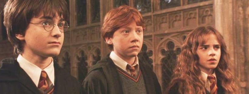 Harry Potter e la camera dei segreti. CAP 3: La Tana e CAP 4: Al Ghirigoro